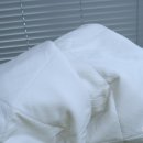 OK세탁(본점) 이미지