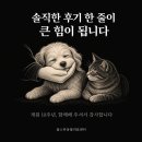 올스타동물의료센터 | 화곡동 올스타동물의료센터 개원 10주년 리뷰 이벤트, 진료비 10% 할인(진행중)