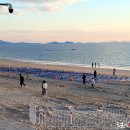 머드광장 이미지