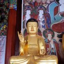 진주 응석사 목조석가여래삼불좌상 | 진주 응석사, 정평리 무환자나무