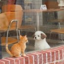 365바른약국 이미지