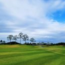 TOP실내골프 이미지