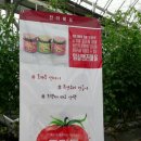 석영농장 이미지