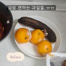 닐슨아이큐 | 미닉스 음식물 쓰레기 처리기 제품 사용 후기
