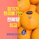 달빛과일 공도점 이미지