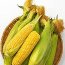 초당옥수수 삶는법 맛있게 먹는법 &amp; 보관 팁 이미지