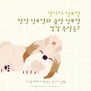 부천종합동물병원 이미지