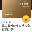 더베스트페이 | 연회비 고민하다 결국 발급한 메리어트 본보이 더 베스트 신한카드 후기