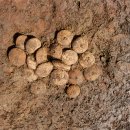 삼양동선사유적 이미지