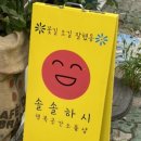 솔솔하시 이미지