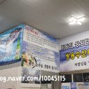 쌍용활어회수산