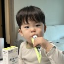 아성기업 | 키즈텐, 칼슘업 3종 키즈칼슘 영양제 후기 어린이 키성장 칼슘 추천