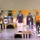 The Turtles - Happy Together / Boney M. - Sunny 이미지