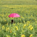 우산농장 이미지