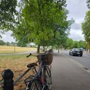 소들의 천국 이미지