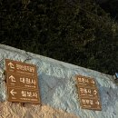 감천초등학교 | 부산 천마산 등산 : 야간등산 갔으나 정상을 못 찍고 돌아왔음 (가지말기)