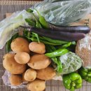 문숙농장 이미지