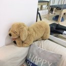 신원동-36 이미지