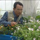 함평이야기 이미지