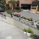 삼덕유치원 이미지