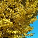 원덕읍사무소 이미지