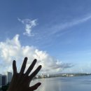 오션스파호텔 | 괌 롯데호텔 오션 프론트 클럽라운지 조식 인피니티풀 스파 후기