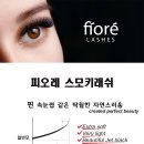 래쉬핏(Lash Fit)