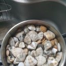 영덕 블루로드 민박 이미지