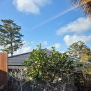 제주서가 이미지