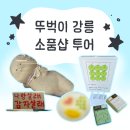 인터메이드 | 뚜벅이 강릉 소품샵 투어 (비레레/삶은감자/오아즈/소싯/시만차 홈/풀노리) + 주차 정보