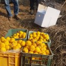 천등산철쭉공원 이미지