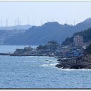 영덕 물가자미 전문점 이미지