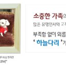 하늘펫 - 동두천시 삼육사로 896 | 하늘펫
