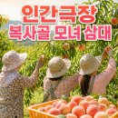 김은희농장 | 인간극장 복사골 모녀 삼대 복숭아 주문방법｜영천 별빛촌농장 택배·스마트스토어