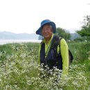 밝은마음 이미지