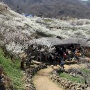 평화동011 이미지