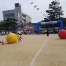 도곡초등학교 Daum카페