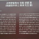 진화 묘 이미지