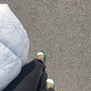 관저동 이불빨래 :: 봄맞이 이불빨래 워시프렌즈 셀프빨래방