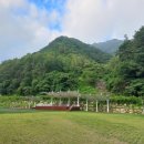 동상면민운동장 이미지