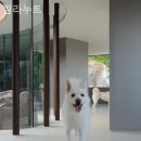 빌라누트 이미지