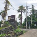 담앤루 | 제주 서귀포 담앤루리조트 가성비 좋은 수영장 있는 예쁜 숙소 후기