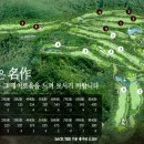 담양다이너스티컨트리클럽 이미지