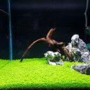 비즈아쿠아수족관 이미지