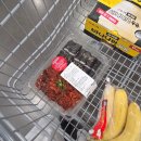 오늘은김밥 - 동구 아양로50길 41 | 코스트코 충무김밥 후기, 기대 이상이었던 코스트코 델리 메뉴