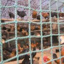 선배농장 이미지