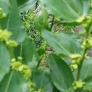 가리산농장 이미지