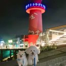 호텔야자시흥정왕점 이미지