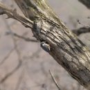 하호분교 이미지