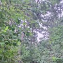 칠천량해전길 이미지